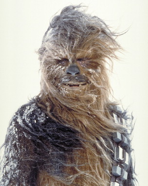 Black Wookie