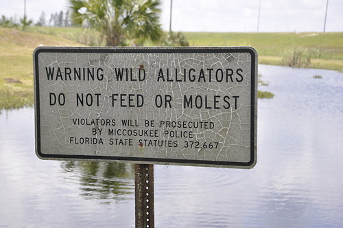 dont-fuck-the-alligators-Florida.jpg